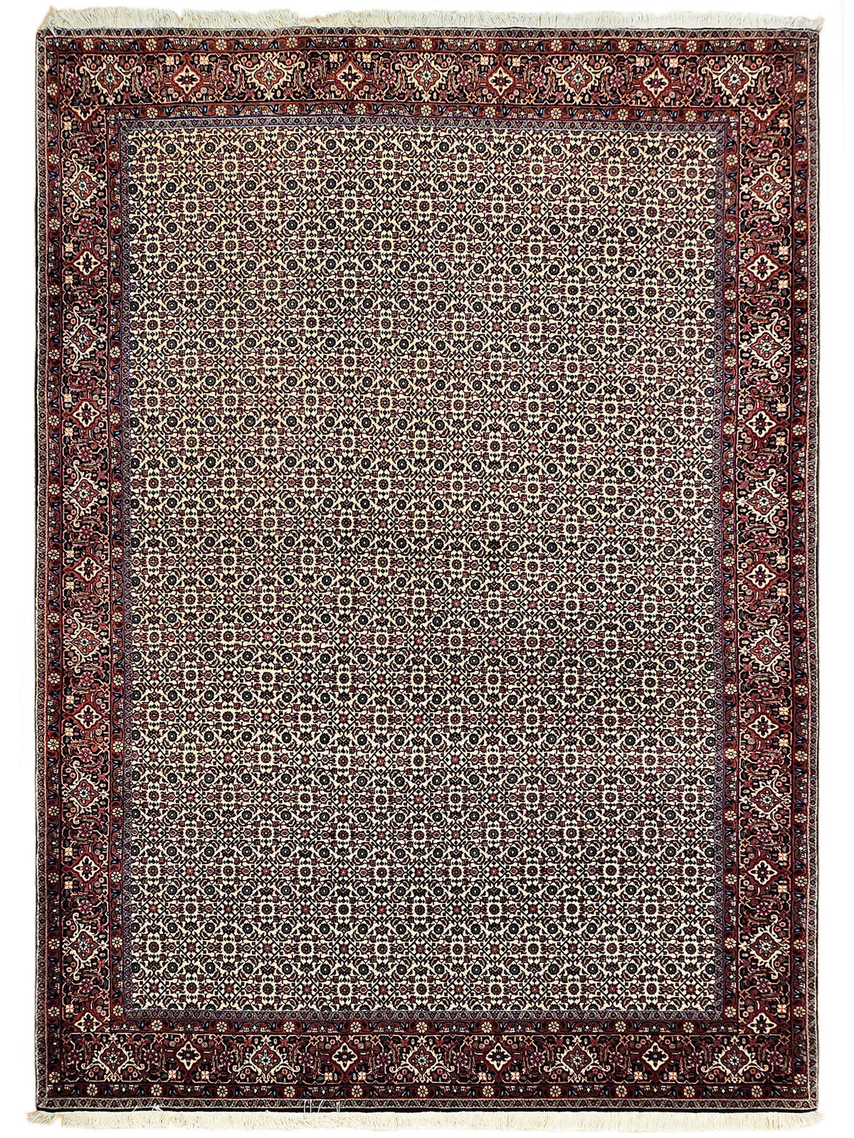 Bidjar rug with central ivory field, dark red border, and repeating medallion motifs