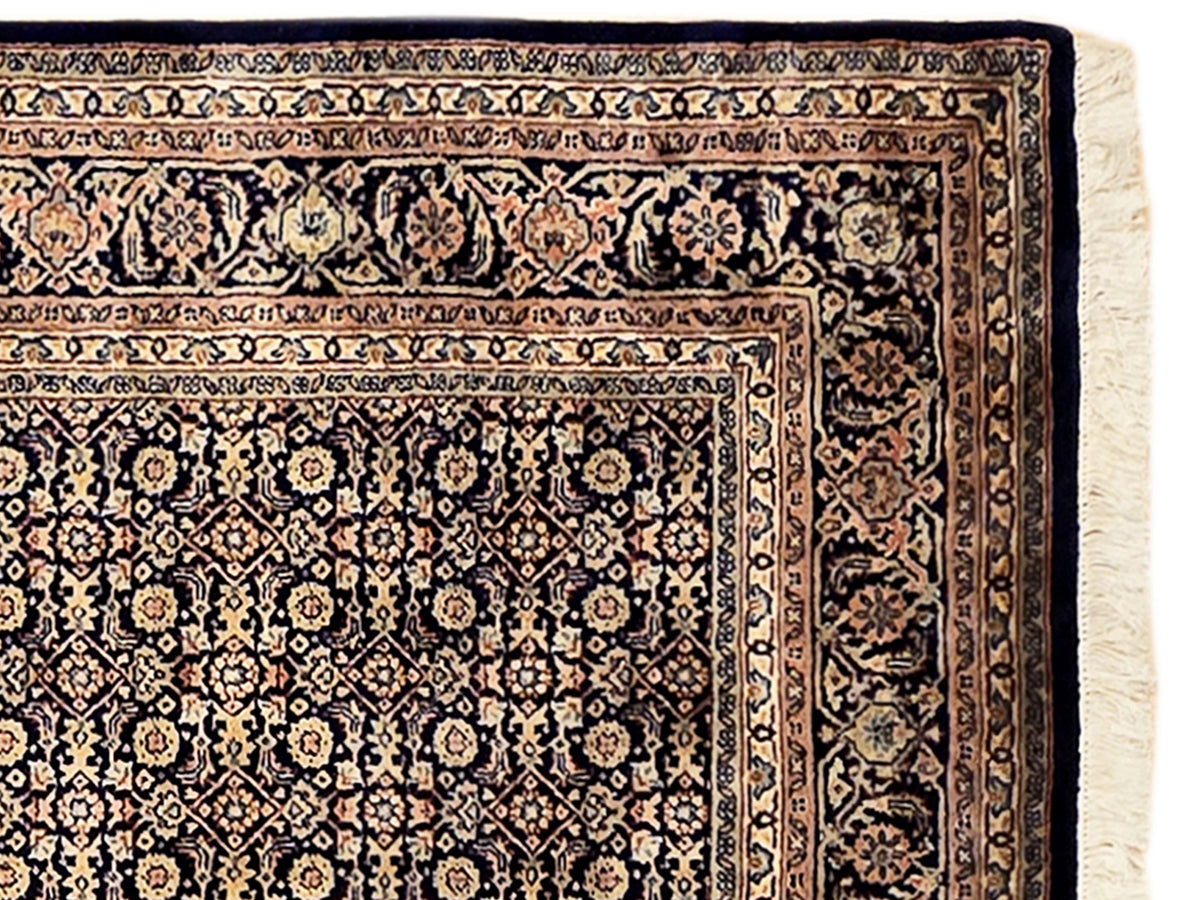 Close-up of Bidjar-style rug border with dark blue, cream, and rust motifs