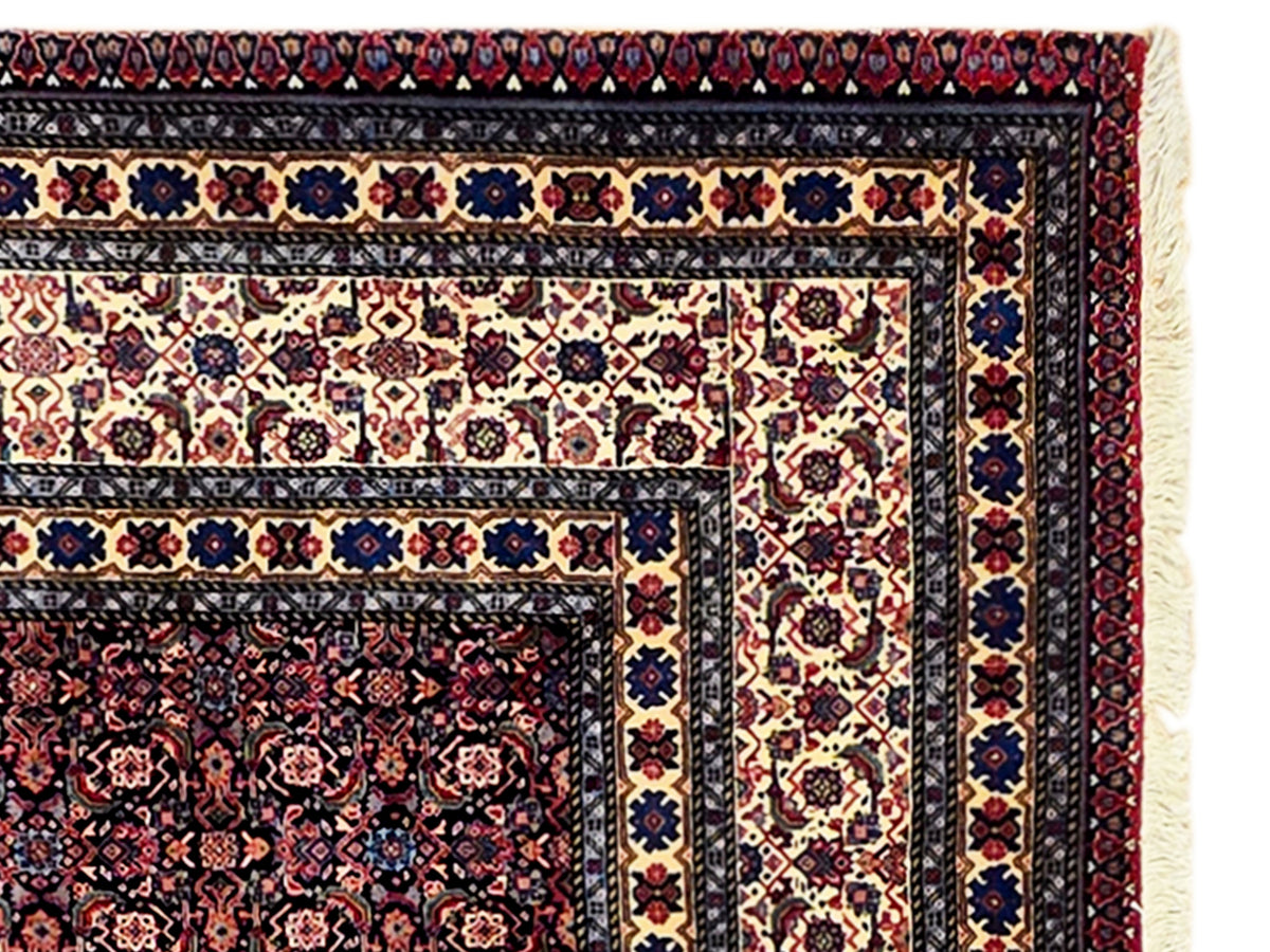 Detailed rug border with cream ground, blue accents, and red geometric corner bands.