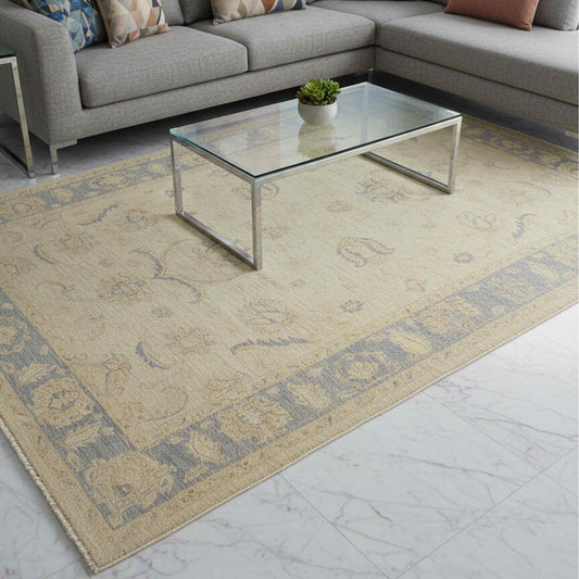 Beige and light blue area rug with decorative border pattern and textured pile