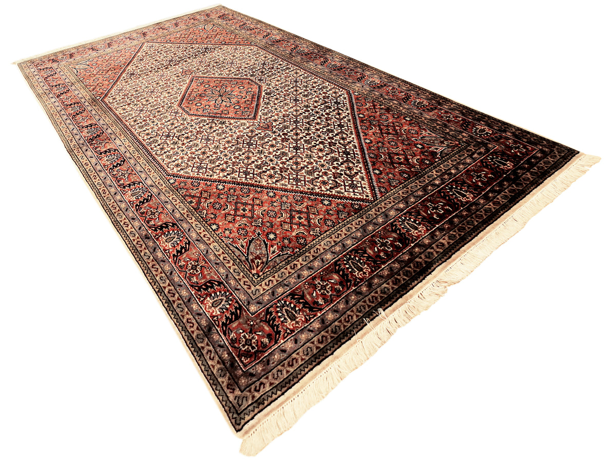 Bidjar rug corner view with cream center panel, red accents, dark border, fringe.
